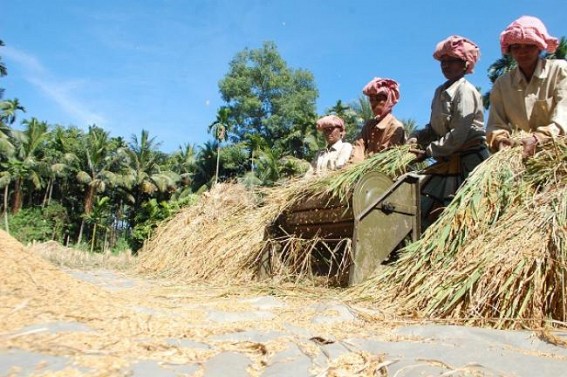 Manik Sarkar’s tall claim falls flat; 25 lakh people have no capability to purchase one kilo of rice for Rs 3 Manik Sarkar’s tall claim falls flat; 25 lakh people have no capability to purchase one kilo of rice for Rs 3